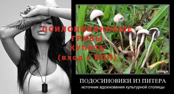 2c-b Белоозёрский