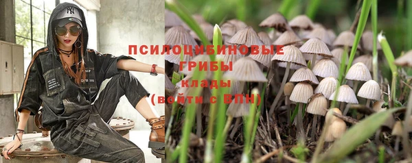 первитин Белокуриха