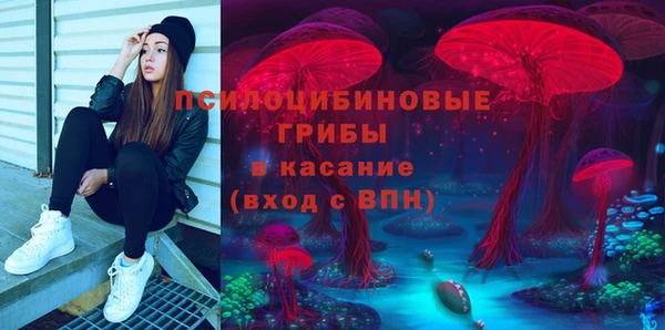первитин Белокуриха