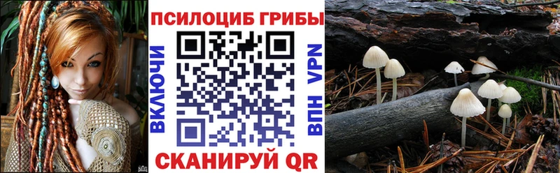Псилоцибиновые грибы Cubensis Курильск