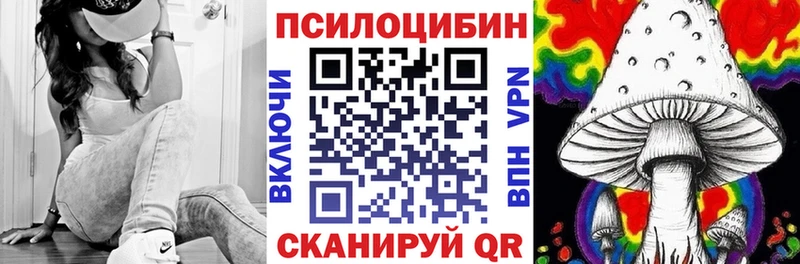 Галлюциногенные грибы Cubensis наркота Курильск